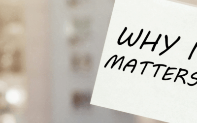 Why Online Reviews Matter More Than Ever for Businesses