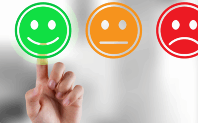 Customer Feedback Influence on Small Businesses